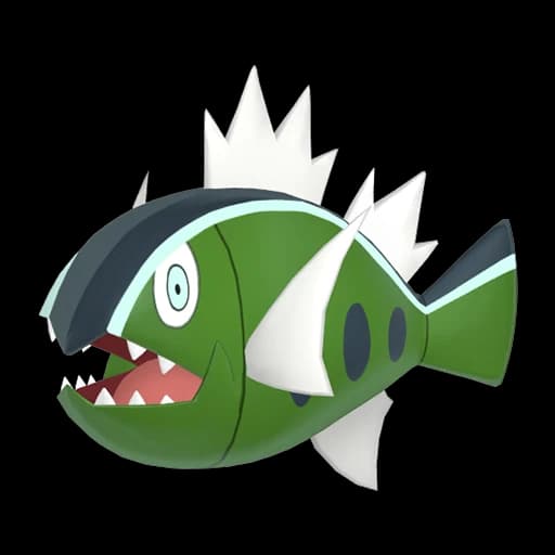 배쓰나이 (White-Striped) 도감 이미지