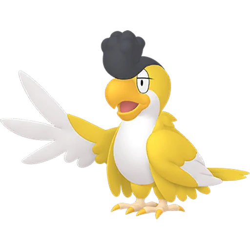 Squawkabilly (Yellow) Pokédex artwork