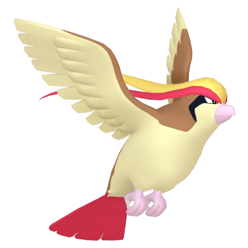 Pidgeot Pokédex artwork