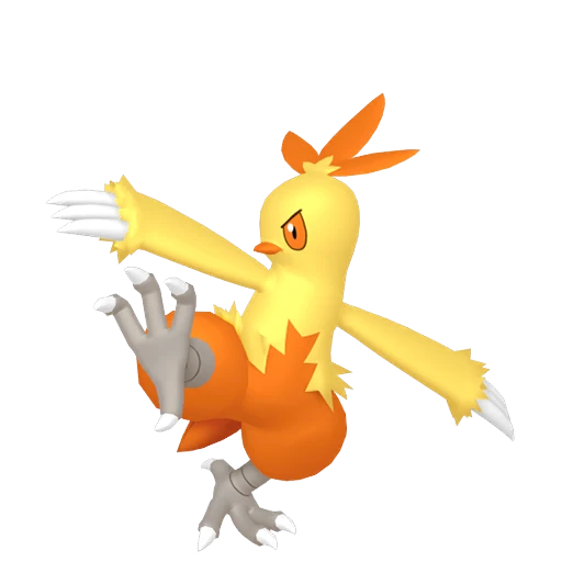 Combusken Pokédex artwork