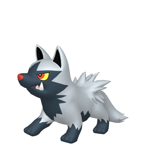 Poochyena Pokédex artwork