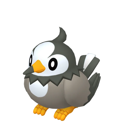 Starly Pokédex artwork