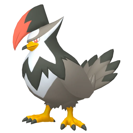 Staraptor Pokédex artwork