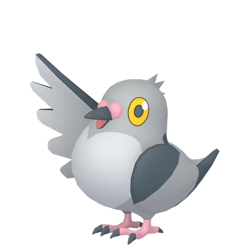 Pidove Pokédex artwork