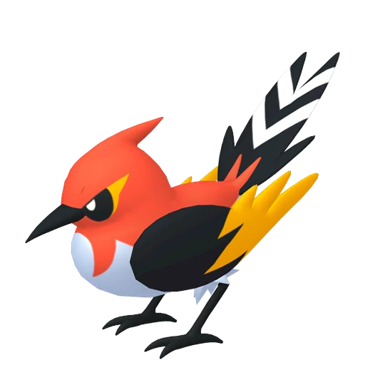 Fletchinder Pokédex artwork