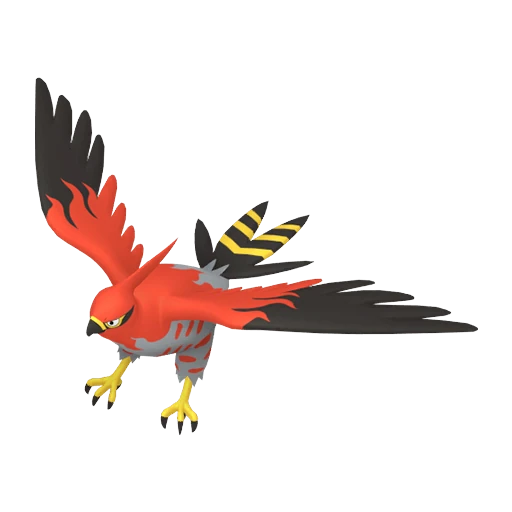 Talonflame Pokédex artwork