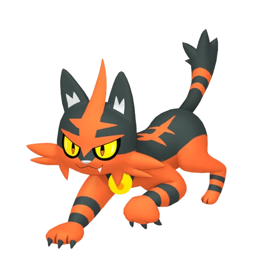 Torracat Pokédex artwork